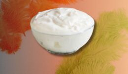 plain-yogurt
